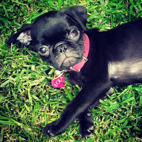 betyjonguitud's tweet photo. my new baby... me trae vuelta loca, la amo! http://t.co/j4Zai0jFnZ