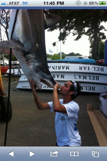 icabasso's tweet photo. @RyanRuocco sharks like this are what coach should be after Mako http://t.co/H26YwBtCml