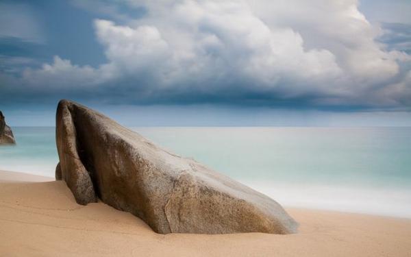 Gizmodo tweet picture