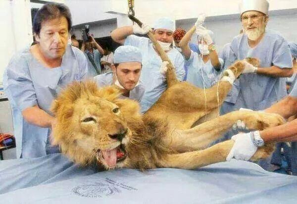 imranali07000's tweet photo. @wajih_sani @MaryamNSharif http://t.co/yLRvATbpko