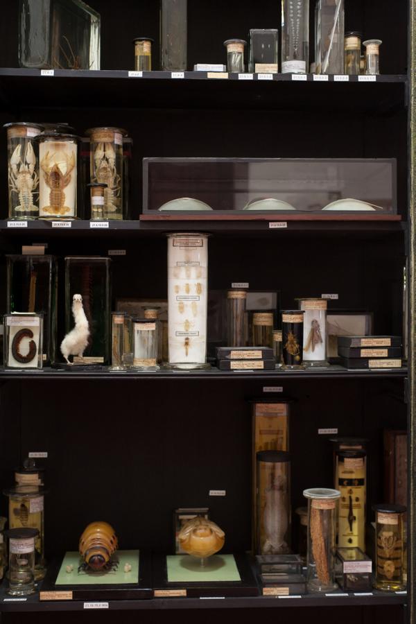 CaspersCreature's tweet image. Spot the chicken! Photograph by Alexander Bunk taken at #berlinartweek 2013