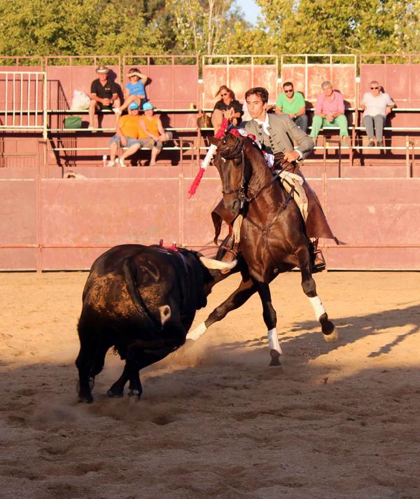 Prensa Manuel Moreno tweet media