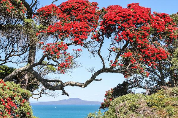 AucklandStyle's tweet photo. "Red and Yellow..." #AucklandStyle http://t.co/4iD8GE0DSh