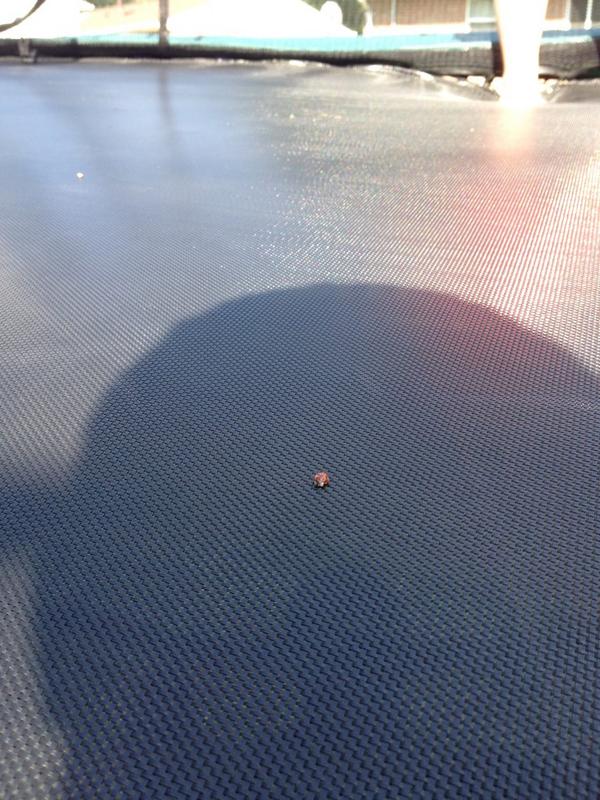 NationProdigy's tweet image. Jumping when suddenly... @Albi_SideArms