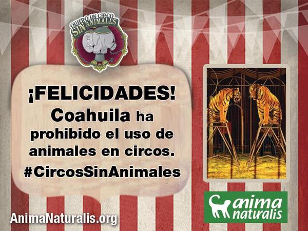 AnimaNat_Mexico's tweet photo. ¡Felicidades! #Coahuila ha prohibido el uso de animales en circos. #CircosSinAnimales http://t.co/Pep2p2gy94