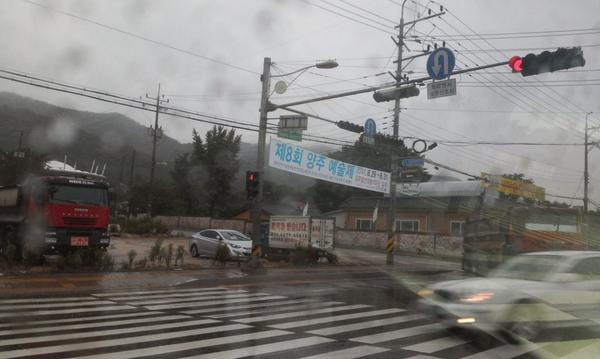 가을을 부르는 비인가요 가기싫다는 여름의 버팀 비인가요