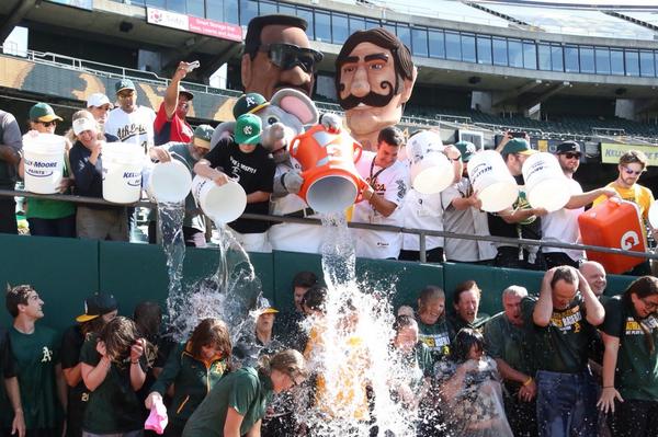 Thanks <a href="/SFGiants/">SFGiants</a> Front Office, we've accepted your #ALSIceBucketChallenge. Your move, <a href="/Angels/">Los Angeles Angels</a> &amp; <a href="/SJEarthquakes/">San Jose Earthquakes</a>.