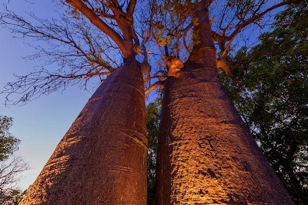 redsquare's tweet image. Testing the image