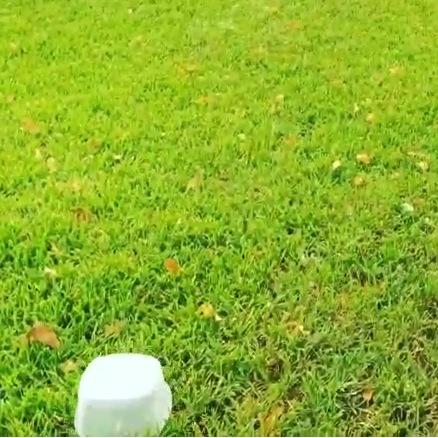 brookeislife_'s tweet photo. "if you loved me, why did you leave me?" ~ice bucket #brookeslayedalsicebucketchallenge http://t.co/mcjRmNGoDF