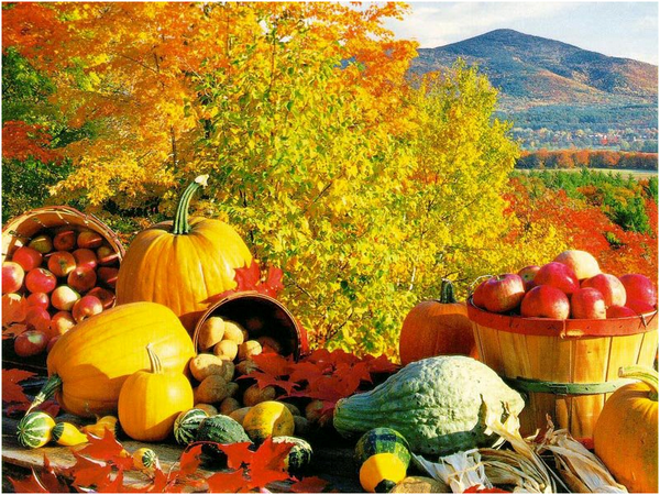 CrowdKind's tweet photo. Be grateful for your gifts of warm #heartedness and #kindness. Share your gifts with others today. ~♥~ #miracles http://t.co/EBuaVlvkRT