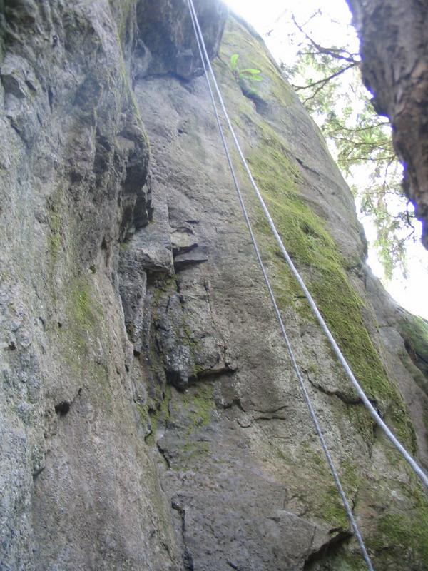 MiguelGavar's tweet photo. TBT. I miss climbing.The Challenge: get back in shape..
#Montavida #Hi5challenge #Getoutofcomfortzone #5linx http://t.co/gasNS5VBmQ