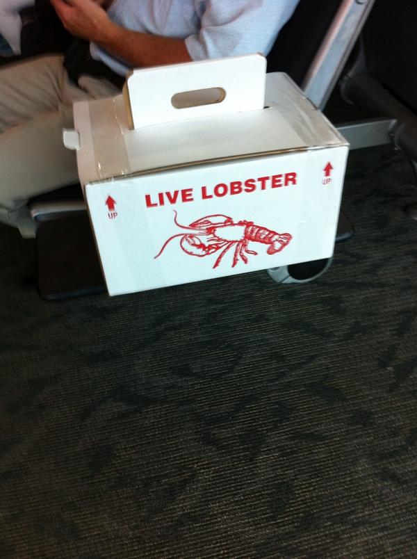 Sarah_JVan's tweet photo. You may be cool, but you'll never be man-with-a-lobster-box cool #onlyinthemaritimes #carryonlobster http://t.co/D3hZUVotFn