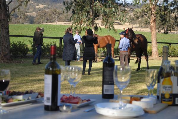 KitchwinHills's tweet photo. Our newest #G1 winning girls, #StepsinTime and #RedTracer being admired by visitors this afternoon @KitchwinHills. http://t.co/vKBZadNmfC