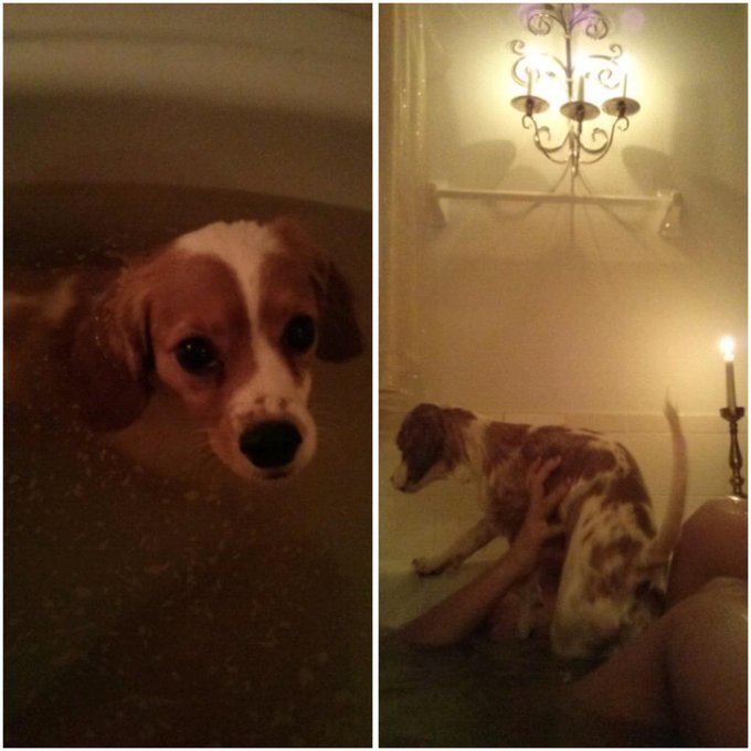 So, he jumps on me in while I'm soaking and this is the look he gives me.. (Kinda innocent, I can't be<a href="/tag/foodporn"class="tags"><span>#foodporn</span></a><a href="/tag/sogoodithurts"class="tags"><span>#sogoodithurts</span></a>