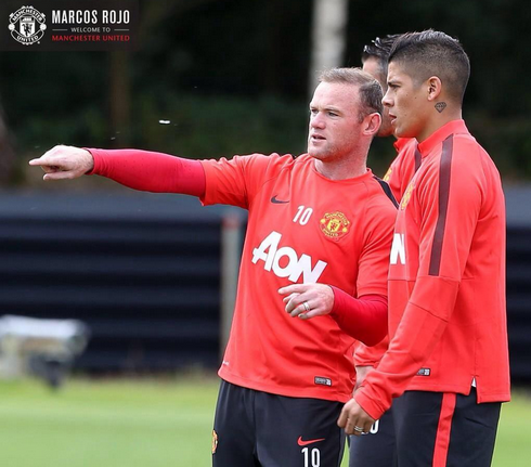 FootballFunnys's tweet photo. 'That's Tom Cleverley, we don't pass to him' http://t.co/8crecWbkOb