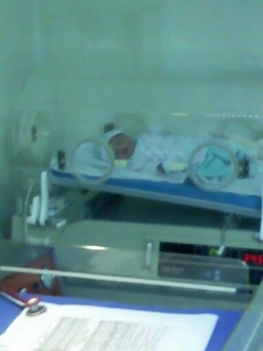 Nexiir Mariia tweet media