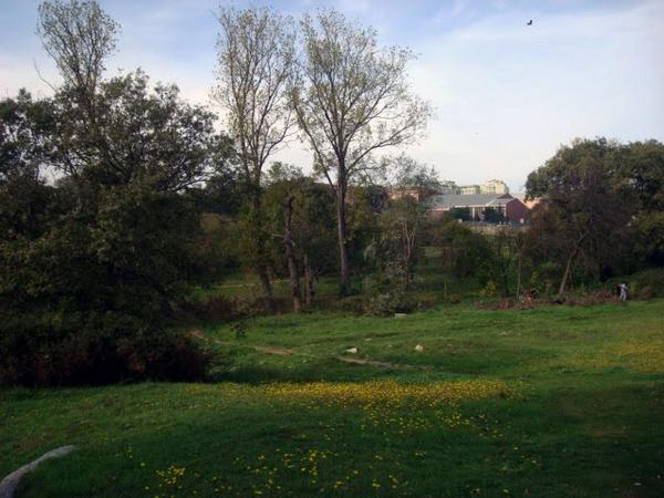 212habercom's tweet photo. Üsküdar Belediyesinden Validebağ Korusuyla İlgili Açıklama 
http://t.co/GBeYV7BDiu #validebağ #ValidebağKorusu http://t.co/xgDk28EC4s