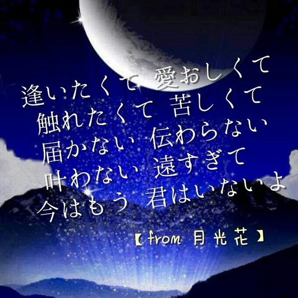 V系 歌詞画像 月光花 Janne Da Arc 歌詞画像 Http T Co Krhjhi8v6j