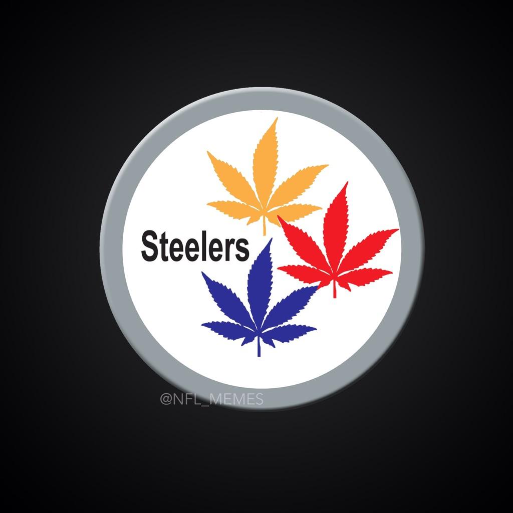 NFL Memes on Twitter: "LEAKED: Pittsburgh Steelers unveil their new