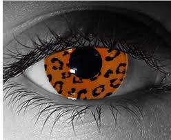 FrameDepotcom's tweet image. Want to be a Jaguar this Halloween? Our sister company has the perfect contacts to match! Zombielens.com