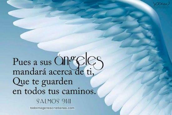castaeda261's tweet photo. @Simon2695  esta de lujo http://t.co/hed16JJUXO