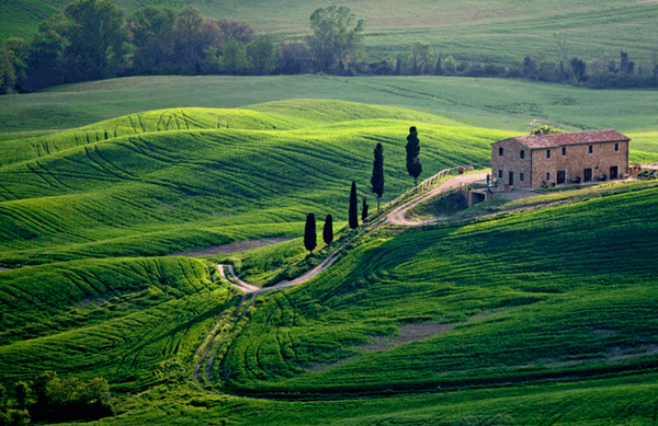 TuscanFeeling's tweet photo. Searching for a #vacation #rental in #Tuscany? We have a large selection of #properties! http://t.co/dBn9b3VeRa http://t.co/qOB5E7KTJU