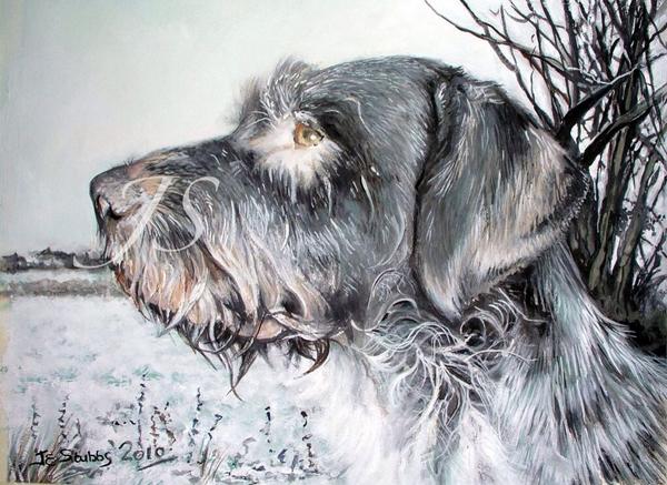 JaniceStubbs3's tweet photo. A beautiful dog on a winters day waiting for his command to come to heel from his best friend and master #dogs #art http://t.co/5S3XjtVkGU