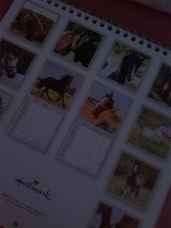 demi290501's tweet photo. leuke paardenkalender voor volgend jaar van papa en mama gekregen ❤🙌👌 http://t.co/CZRl9btgvq