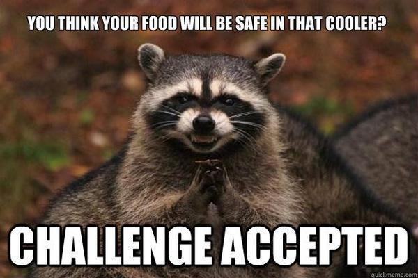 austinkayak's tweet image. Challenge accepted. #campingproblems