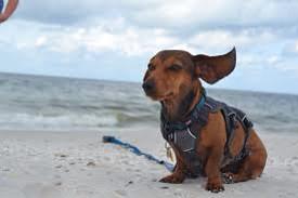 re_unity's tweet image. So, that's me done. Mrs Heron signing off. Miss Borwick will be driving this Twitter from September. Thank you xxx