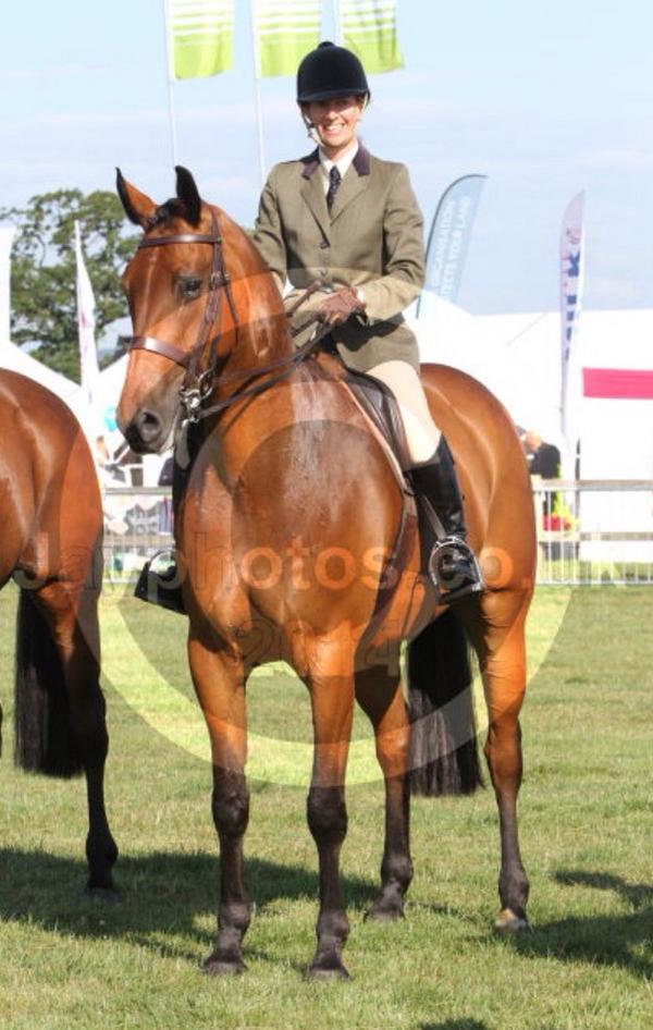 Love these pics taken by Jay Photos <a href="/GillShafts/">GillandShaftShow</a> yesterday. Cheeky monkey! #showing #horses #summer