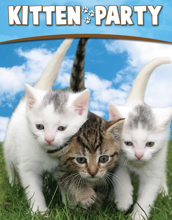 oldnbustedfury's tweet image. I have some important work to do on netflix today. IMPORTANT WORK.