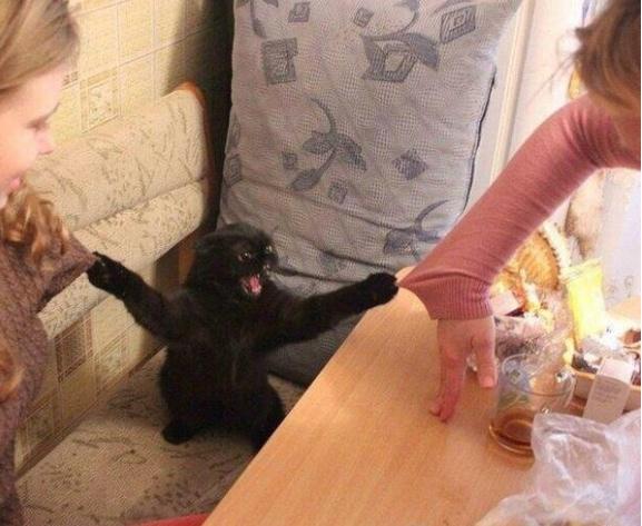 onlyusefreewifi's tweet photo. when you're trying to tell a story but your friends aren't listening http://t.co/UfEeJCkzlJ