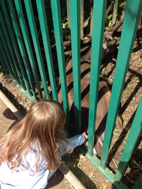 katiefbrown's tweet photo. @thekelster123 @ThePrawnster22 @jlb8778 excellent day with gorgeous girl... #lovehermillions http://t.co/JGonZsQaPl