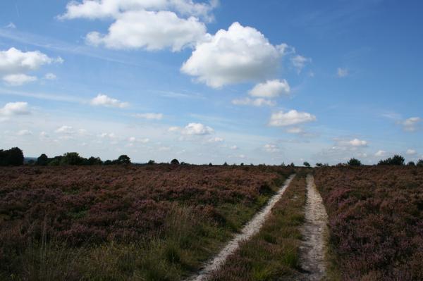 Holterpad's tweet photo. De wandelroute van 19 oktober 2014 is op papier gedeeltelijk klaar. Het beloofd een afwisselende wandeling te worden. http://t.co/xrw2Nevo3v