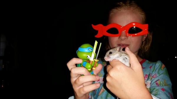 APB's tweet image. Received my first @lootcrate and one of my kids immediately swiped 2 items