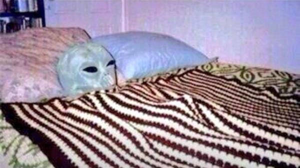 stillblazingtho's tweet photo. Laying in bed high as fuck http://t.co/HxrhElVDRJ