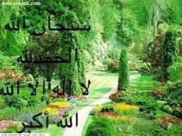 ssaa_109 tweet picture