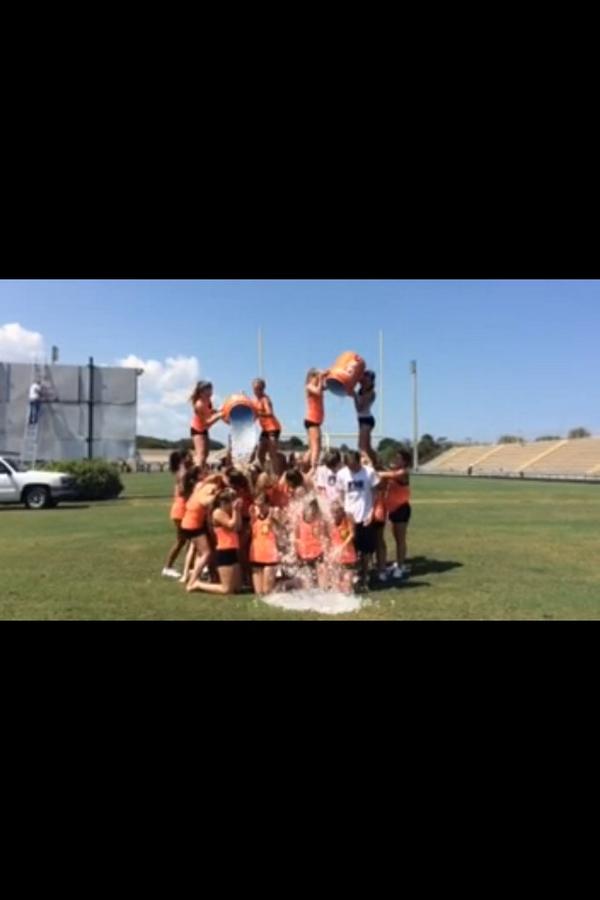 logan rogers tweet media