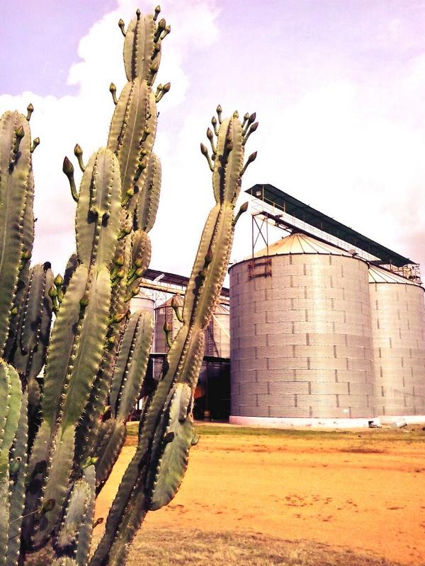 jemang's tweet photo. UPS Planta de Semilla #Calabozo #Guárico "Rafael Aparicio" http://t.co/hf4EfmpyfC