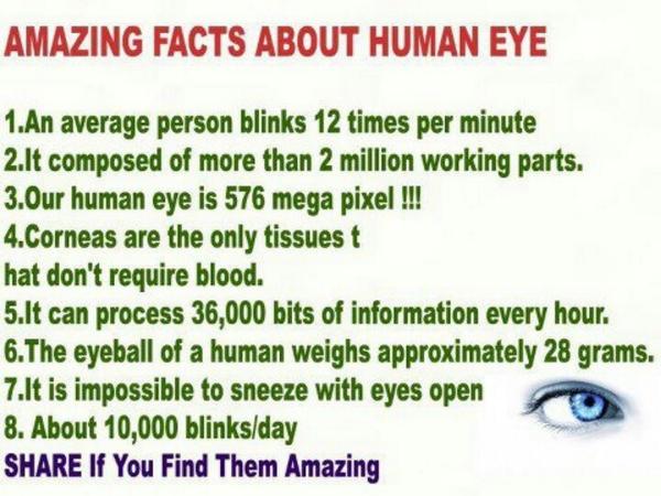 SpecsOptometry's tweet photo. Happy Saturday! Here is a #SpecsFact. Its important to always check our eyes! If you need an exam, call us! http://t.co/yQkrL0mM1g