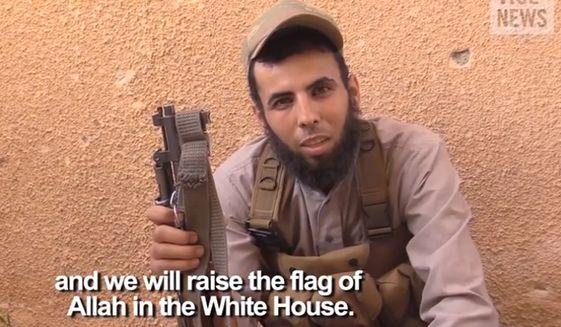 View image on Twitter View image on Twitter