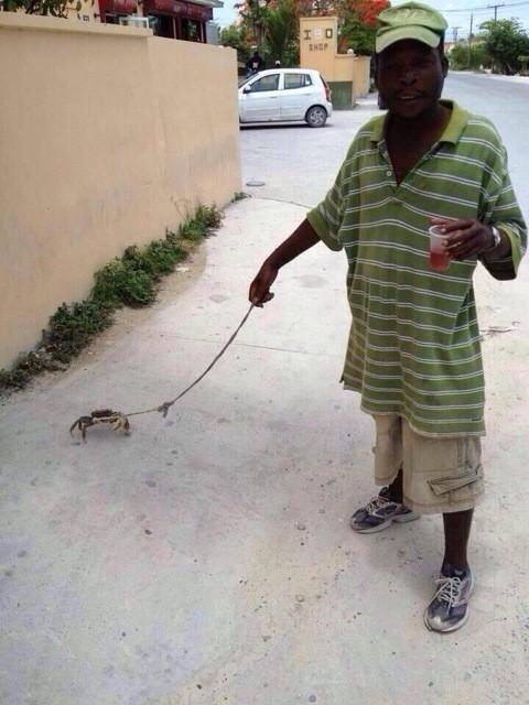 _TonyHilfiger's tweet photo. Crackheads deserve they own show on discovery channel. They outchea catchin wild animals in the hood http://t.co/VFziGtIxO9