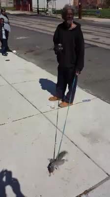 _TonyHilfiger's tweet photo. Crackheads deserve they own show on discovery channel. They outchea catchin wild animals in the hood http://t.co/VFziGtIxO9