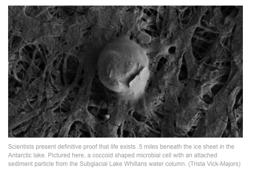 jamesrollins's tweet photo. #The6thExtinction events True? Microbial life found half mile below Antarctic ice sheet: http://t.co/iP894UEHzW http://t.co/vRONaiq9qe