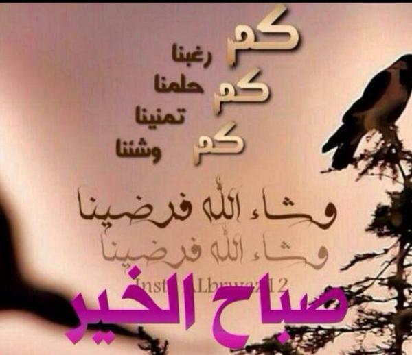 75Allah's tweet image. 