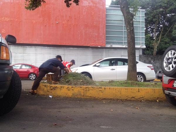 SlpXalapa's tweet photo. Dando nueva imagen a #NuestraCapital en coordinación del subdirector #LimpiaPublicaXalapa http://t.co/odltjiwsTO