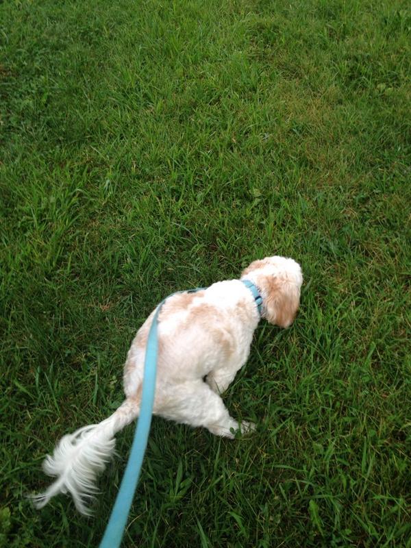 CraigMac's tweet photo. #RallyPoop http://t.co/Fy5InwUaNH