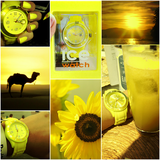 IceWatchNL's tweet photo. Voor we het weten schijnt de zon weer... #SunshineInspiration #Hopes http://t.co/lJ4IYhbUnO