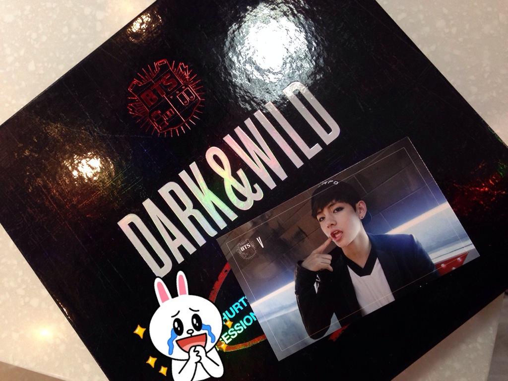[Review] BTS 1st Full Album Dark & Wild